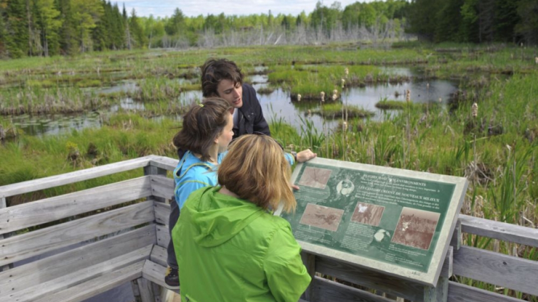 People reading informative display about the site they are one. In the background there is a marshland.