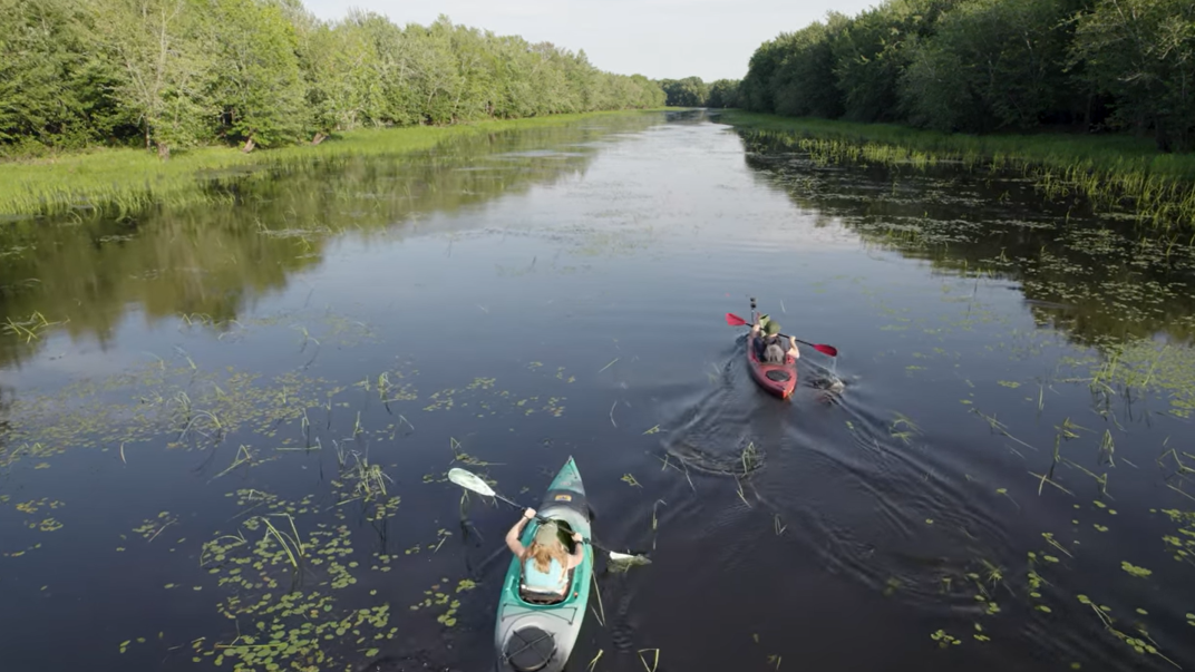 Two kayakers paddle down a deep blue river banked by forests on either side.