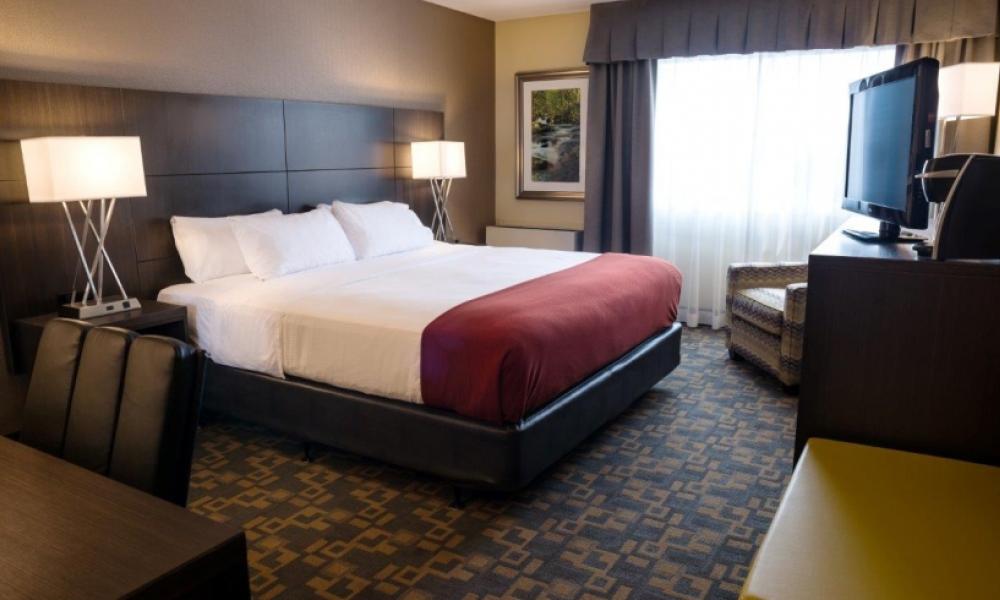 hotel room with white and red bedding with soft lighting and carpet