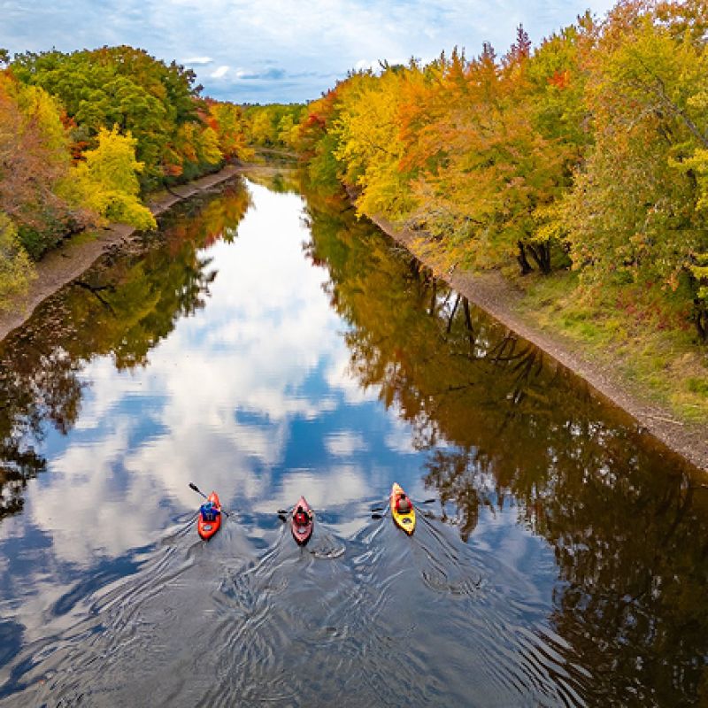 4 people kayaking