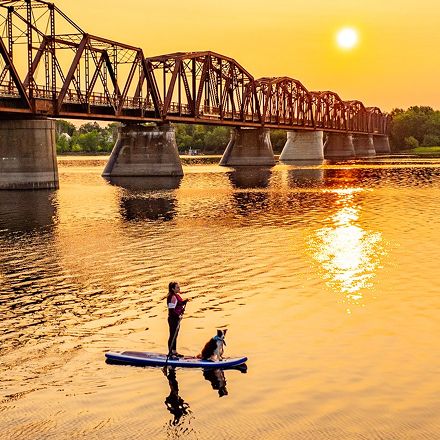 Person Paddling in Fredericton