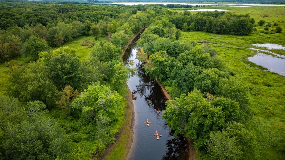 Aerial view of kayakers paddling along a winding river through dense green forest and wetlands.