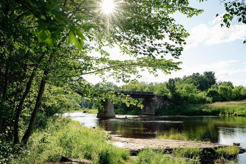 Sunlight filters through trees over a calm river and a low bridge, with a person standing in the shallow water below.