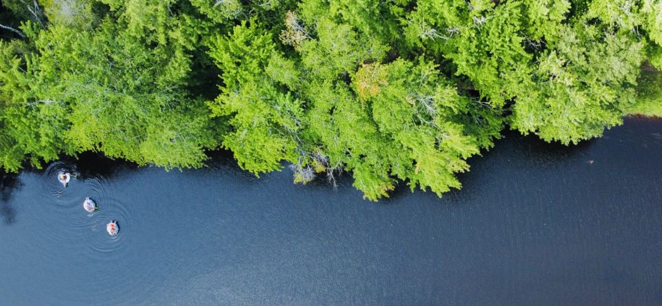 Aerial view of three people floating on tubes along a dark river beside dense green forest.