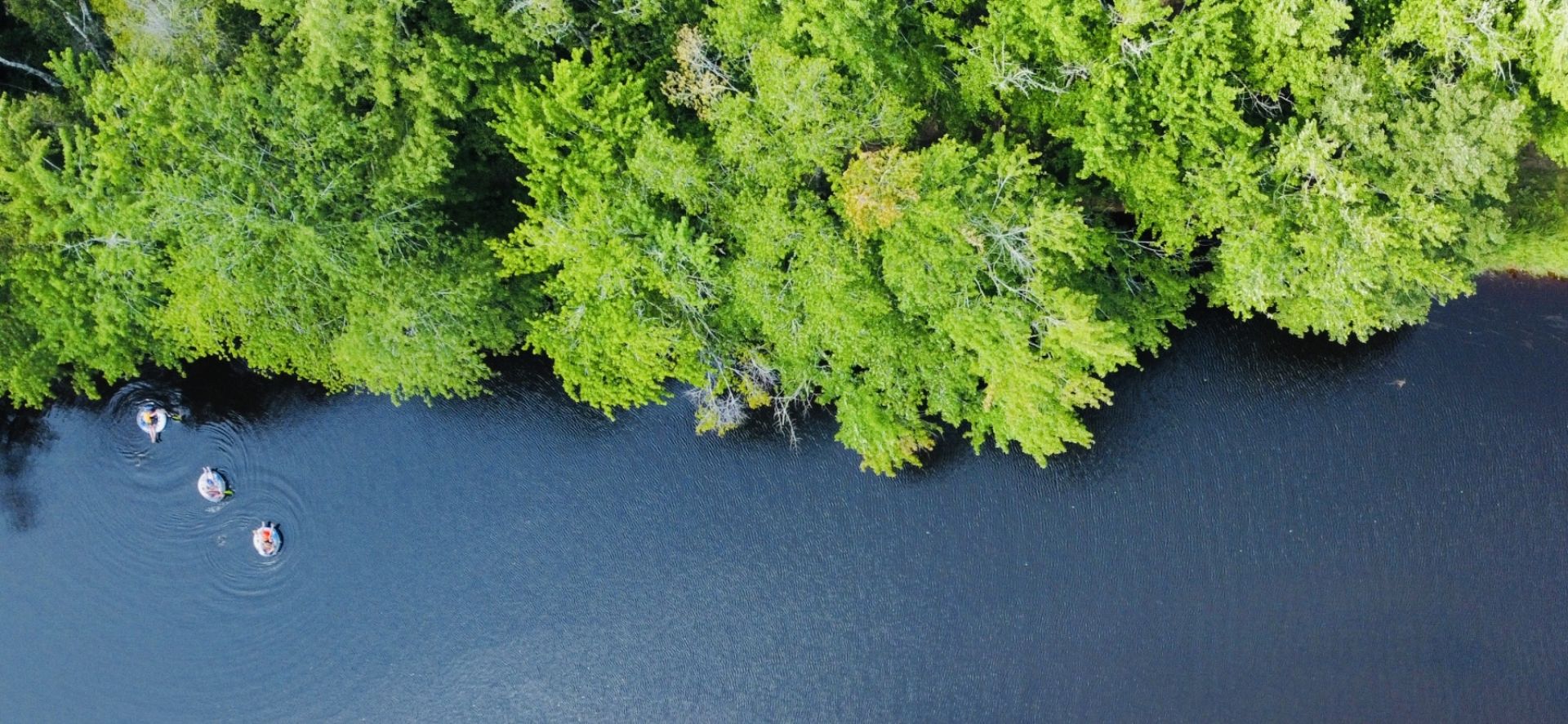 Aerial view of three people floating on tubes along a dark river beside dense green forest.