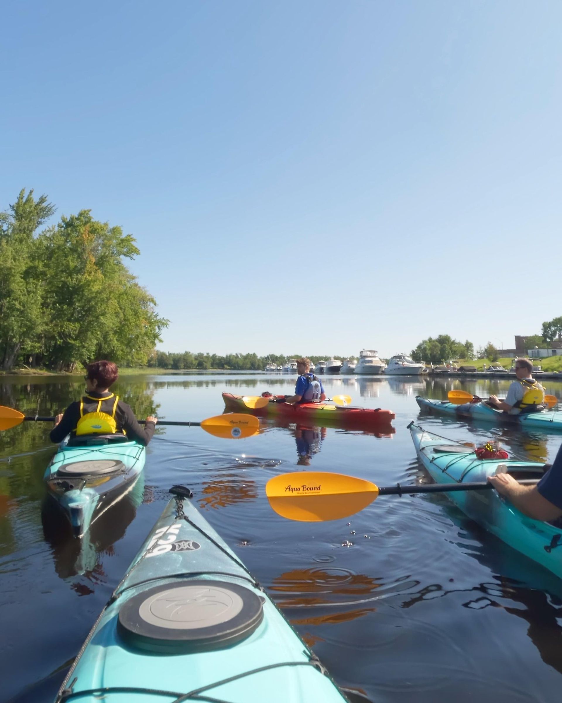 Kayakers paddle on calm water near a marina with boats in the distance under a clear sky.